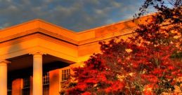 University of Georgia