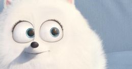 Life of pets