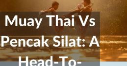 Punch Silat