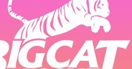 DailyBigCat