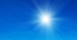 Sunny