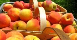 Peachers