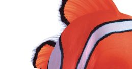 Nemo Juventino