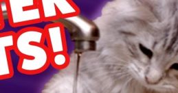 Cats Hate Water 2016