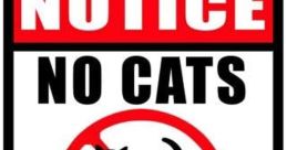No No No Cat