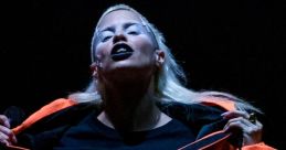 Die Antwoord