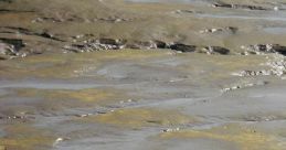 The mud flats