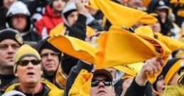Steelers Fan