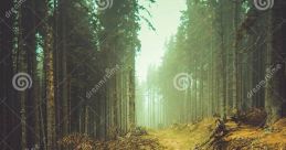 Shrouded woodlands (Outer Wilds)