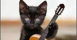 Comei meu gato guitar pimpolho