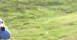 Dog Playing Fetch Alone