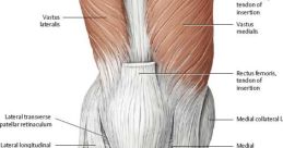Cap anterior