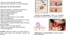 Você não manda nos meus dentes