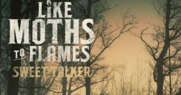 Like Moths To Flames Play and download Like Moths To Flames clips. #gnf #like moths to flames #idgaf #heavy #mosh