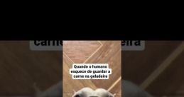 ► LCR - Cachorro, safado