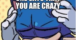 SANIC BOI