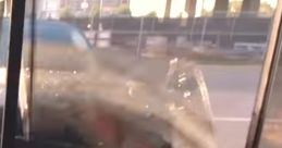 Viral Video Gold