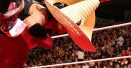 Los Matadors and El Torito