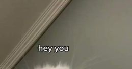 Meow meow meow tiktok Have you ever scrolled through TikTok and suddenly heard the "Meow meow meow tiktok" blasting from