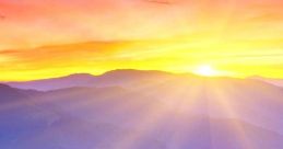 Viuriful mornin