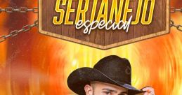 AQUI É SWETANEJO The phrase "AQUI É SWETANEJO" is more than just a few words strung together - it's a declaration of