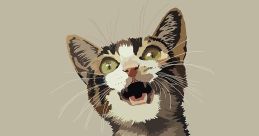 Omgnbodycares The first that resonates with the subject of "Omgnbodycares" is a gentle whisper, barely audible yet filled