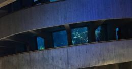 Boston-aquarium