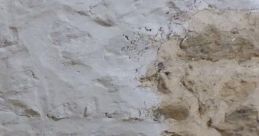 J'vais t'éparpiller sur les murs !