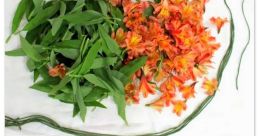 A Lei