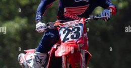 MX (Chase )