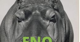 F NO