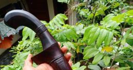 Listrik Holong Golok
