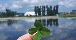 Cool lucky ☺️