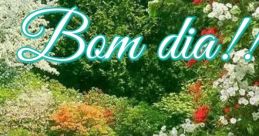 Bom dia mn