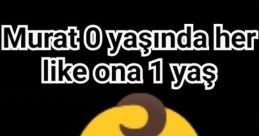 Hadibakim