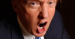 Donald trump your fired