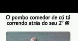 Fica dando o cu pra pombo