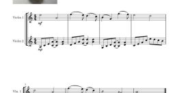 VIOLIN TRISTE HAMSTER
