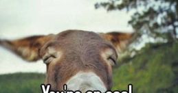 You're an ass "You're an ass." The harsh, cutting of those words rang out in the tense silence, filling the room with a