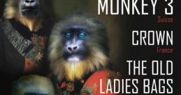 Monkey3 Monkey3 is a band that is known for their unique blend of psychedelic rock and space rock. When you listen to