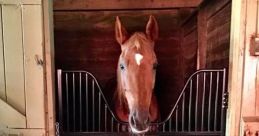 Stall