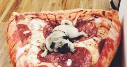 Pizza sabor CALA A BOCA CACHORRO