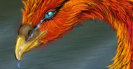 Phoenix Cry [1]