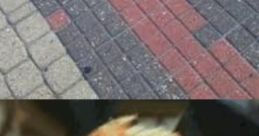 AHHH MEME