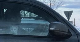 All my fellas in the car
