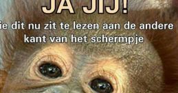 Mag Ik Een Banaaaaaaaaaaaaaaaan?