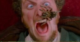 Marv Pidgeons Scream
