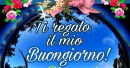 Ciao tutti bonjorno
