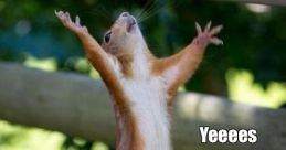 Yeeeeee!!!!!...