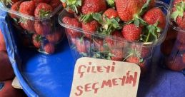 Limonsevermisincocukadam